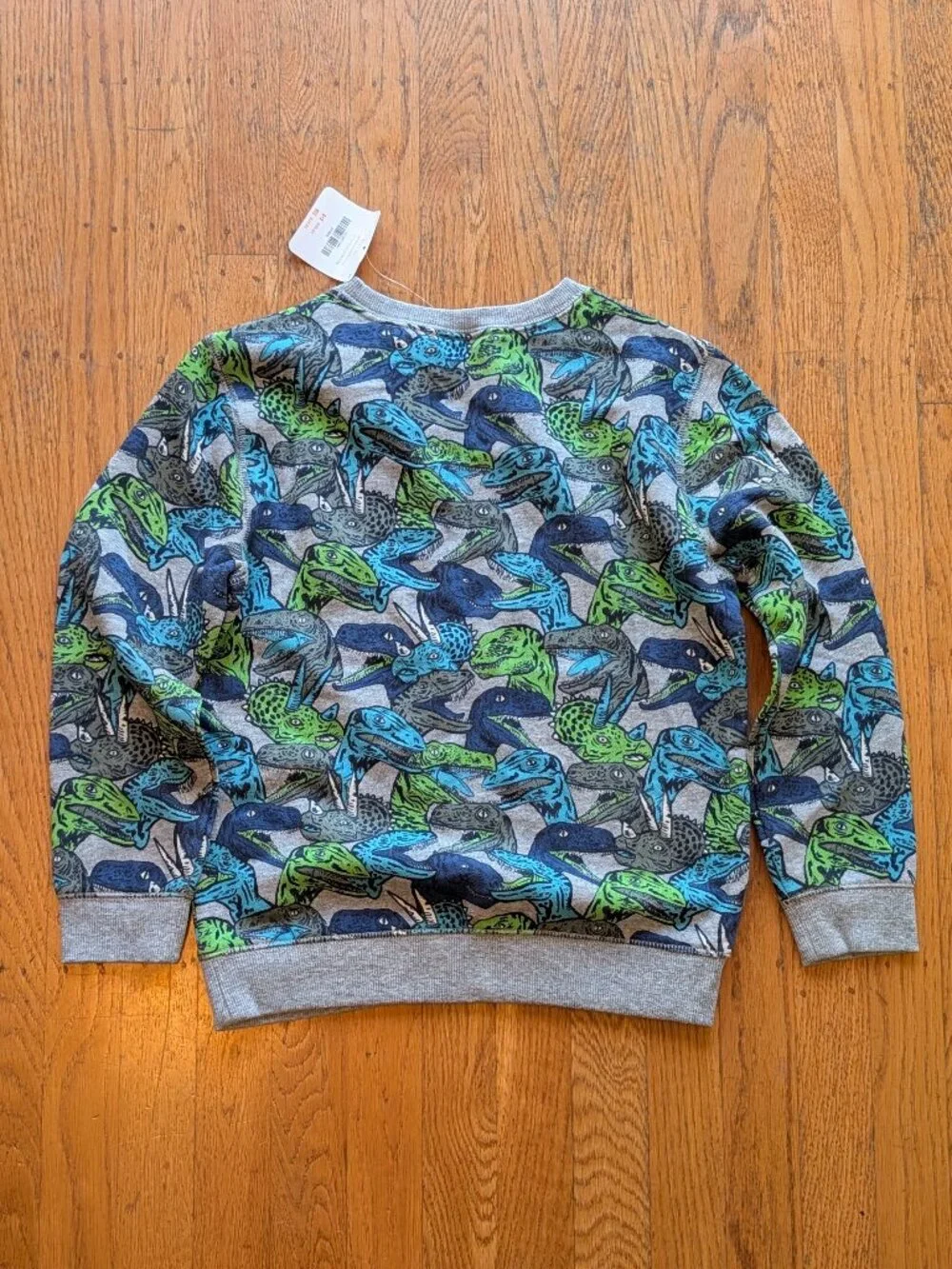 Gymboree Dinosaur Sweatshirt